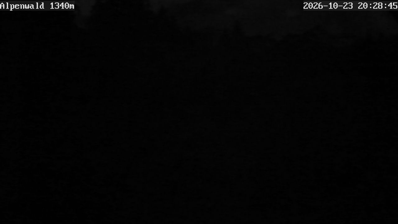 Image: Gasthof Alpenwald